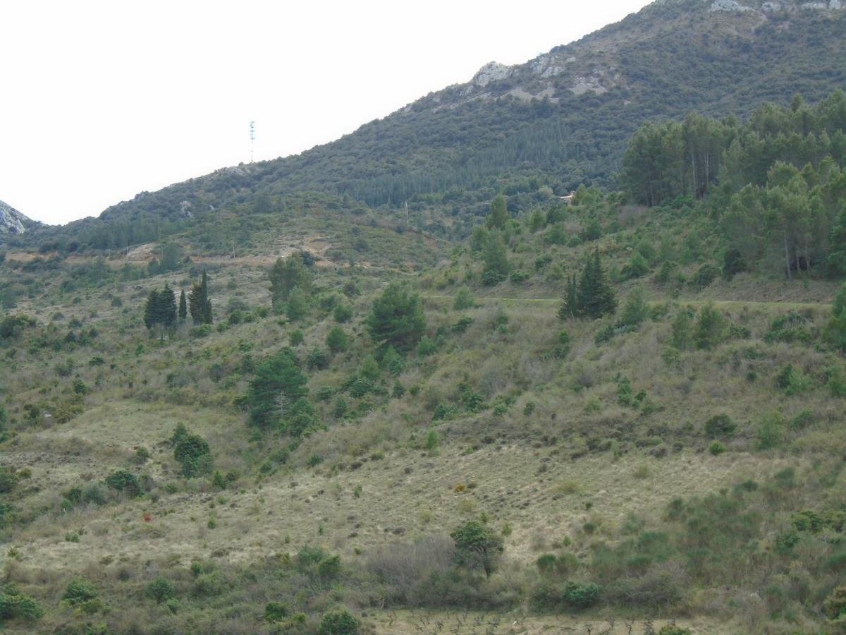 Gite La Tramontane Villa Cucugnan Dış mekan fotoğraf