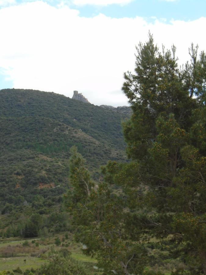 Gite La Tramontane Villa Cucugnan Dış mekan fotoğraf